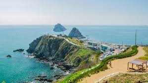Exciting Things to Do in Busan