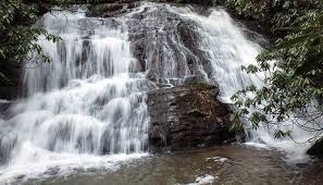 Top Things to Do in Ellijay, GA