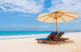 Your Go-To Guide for Things to Do in Miramar Beach