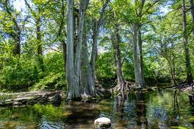 Amazing Things to Do in Boerne, TX