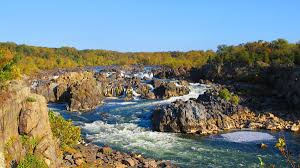 Best Things to Do in Fairfax VA