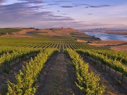 Top Things to Do in Tri Cities