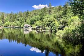 Uncover Amazing Things to Do in Idyllwild, California