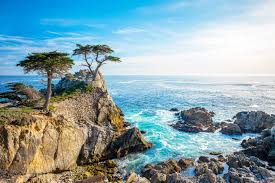 The Top Things to Do in Monterey with Kids