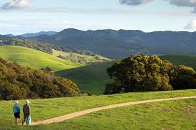 Top Things to Do in Petaluma: A Comprehensive Guide