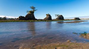 Top Things to Do in Lincoln City: A Complete Guide