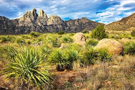 Top Things to Do in Las Cruces, NM