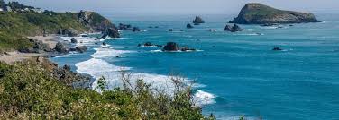 Uncovering Unique Things to Do in Brookings, Oregon