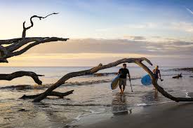 Explore the Top Things to Do in Jekyll Island