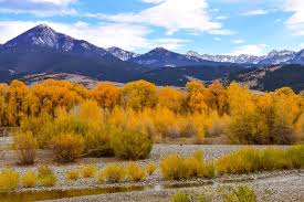 Ultimate Guide to Things to Do in Livingston, MT