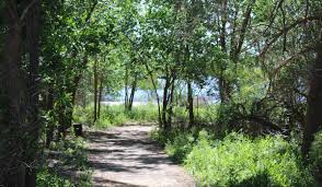 Ultimate Guide to Things to Do in Midland, TX