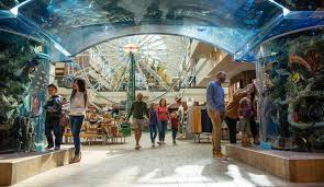 Enjoy the Best Things to Do in Reno with Kids