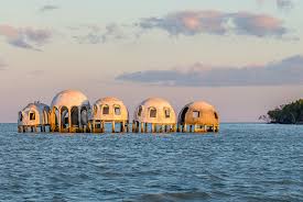 Unforgettable Unique Things to Do in Naples, Florida