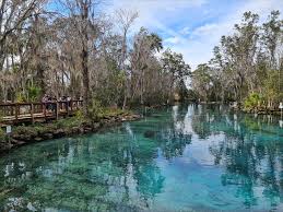 Unforgettable Things to Do in Crystal River