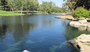 Top Things to Do in Costa Mesa