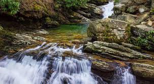 Top Things to Do in Waynesville NC