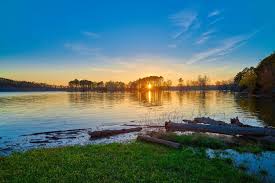 Uncover Fantastic Things to Do in Rogers, Arkansas