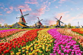 Uncover Amazing Things to Do in the Netherlands