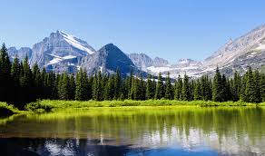 Unforgettable Things to Do in Whitefish MT: Explore the Best Attractions