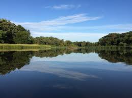 Exciting Things to Do in Elk Grove, IL
