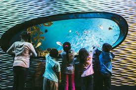 Discover Fun Things to Do in Charlotte with Kids