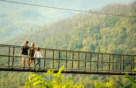 Your Ultimate Guide to Things to Do in Tennessee with Kids