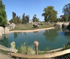 Your Ultimate Guide to Things to Do in Fresno