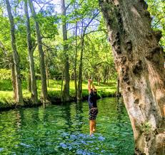 Discover the Best Things to Do in Wimberley