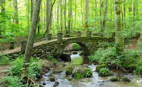 Enthralling Things to Do in Cherokee, NC