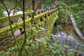 Amazing Things to Do in Bellingham