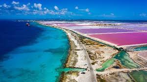 The Ultimate Guide to Things to Do in Bonaire