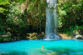 Ultimate Guide to Things to Do in Liberia Costa Rica