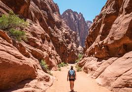 What Sets Tourists and Travelers Apart: Embracing Flexibility in Travel Experiences