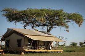 Siringit Collection’s 2026 Expansion Adds New Camp, Enhancing Tanzania’s Luxury Safari Offerings