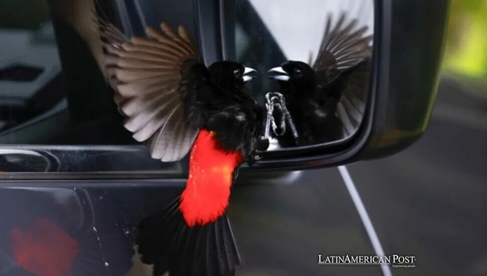 Exploring Costa Rica’s Arenal Volcano: A Beacon of Genuine Wellness and Sustainable Travel