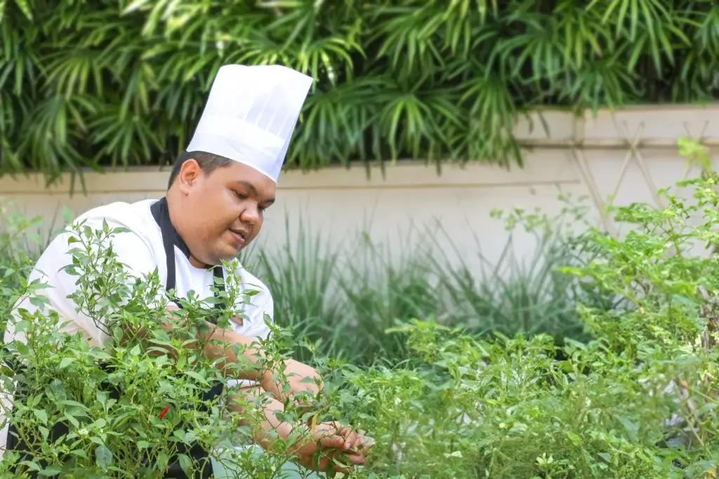 Experience Authentic Thai Flavors with Santiburi Koh Samui’s 100 Miles Dining Programme