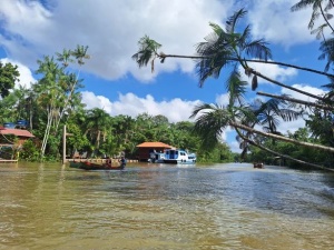 Explore Regenerative Tourism Experiences in the Brazilian Amazon During COP30