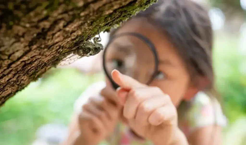 How Micro-Safaris Are Transforming Wildlife Tourism and What It Means for Your Next Journey