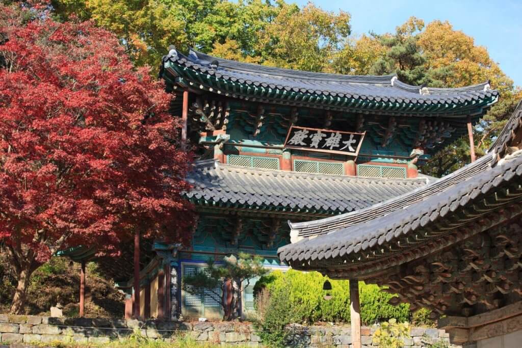 Discover Korea’s Autumn Templestay Offer with 50% Discounts to Embrace Culture and Wellness