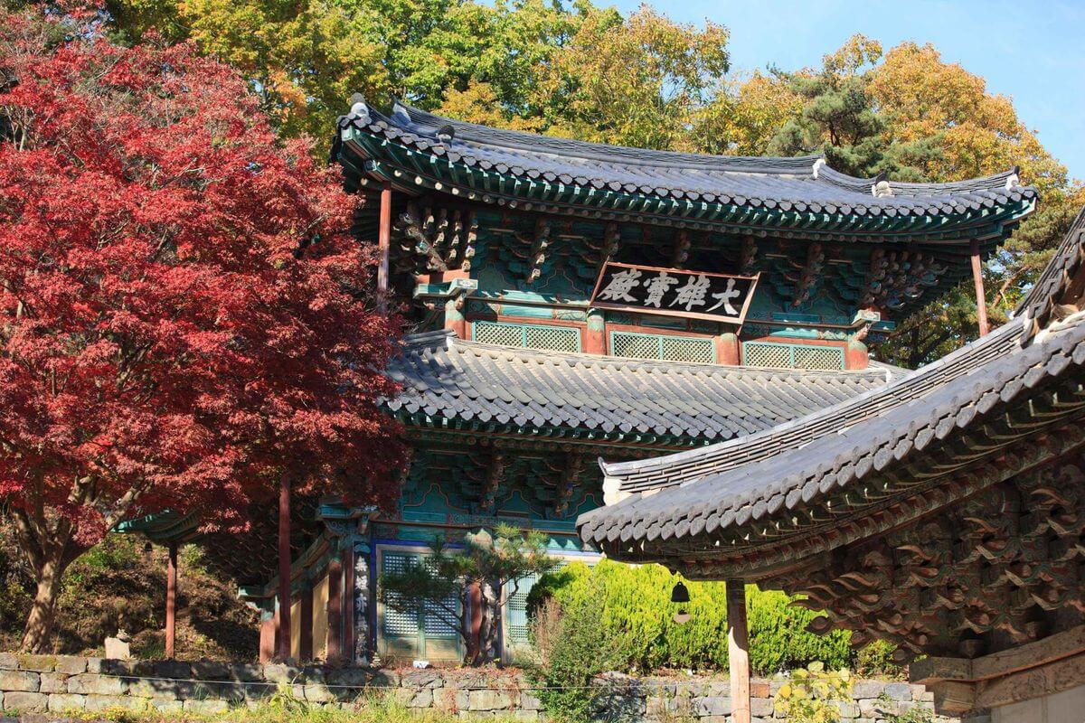 Discover Korea’s Autumn Templestay Offer with 50% Discounts to Embrace Culture and Wellness