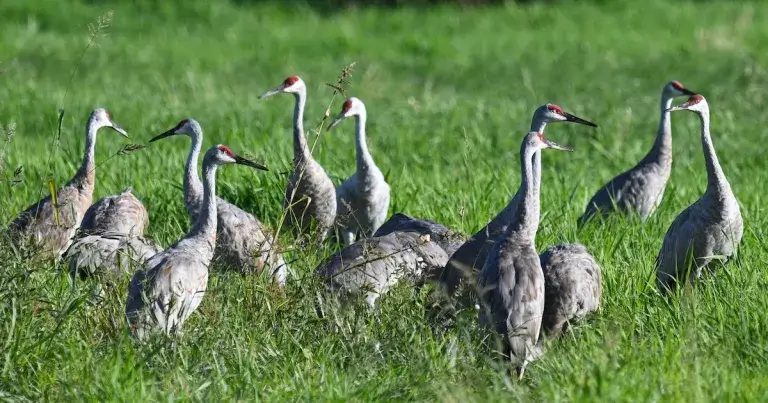 Discover Wisconsin’s Hidden Gems That Locals Want to Keep Secret