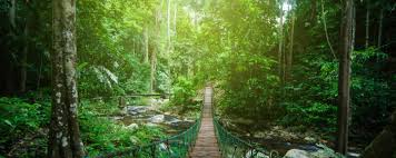 How India and ASEAN’s Sustainable Tourism Pact Promotes Eco-Friendly Travel and Pollution Control