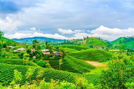 Integrated Efforts to Boost Tourism, Agriculture, and Transport in Northeast India’s States