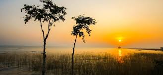 VFS Global Academy Drives Community Skill Development for Sustainable Eco-Tourism at Debrigarh Wildlife Sanctuary