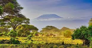 The New Era of Luxury Travel: Embracing Sustainability, Personalization, and Emerging Destinations