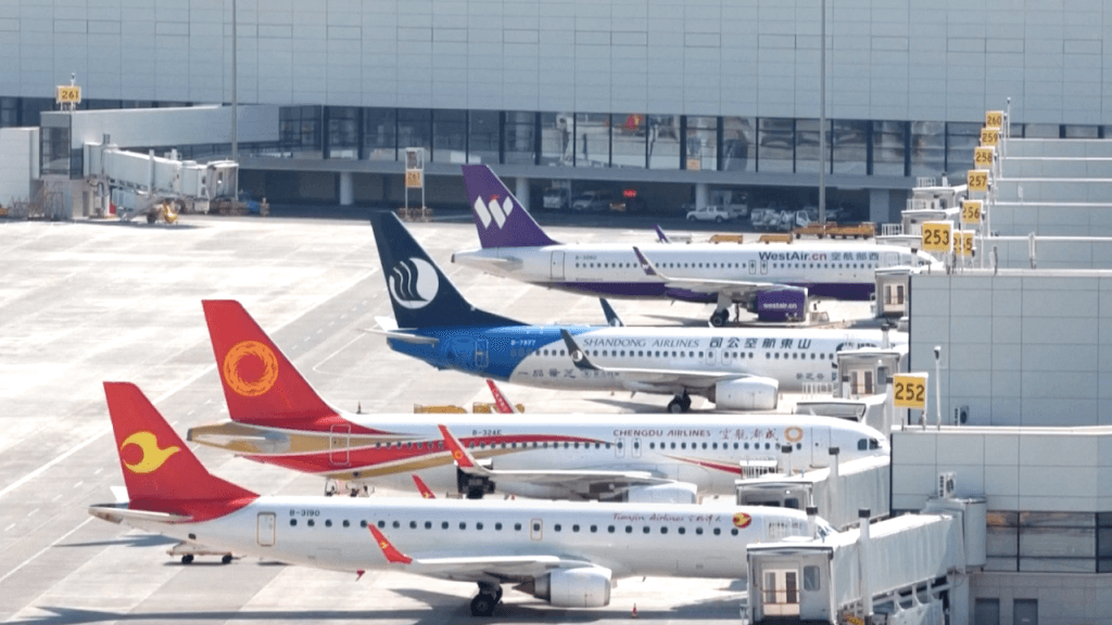 Impact of Declining Chinese Tourists on Japanese Travel and Transfer Services