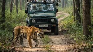 Eco-sensitive zone established around Kumbhalgarh wildlife sanctuary and what it means for travel