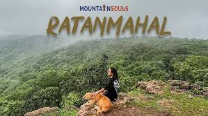 Gujarat pushes eco-tourism, conservation and visitor rules for Jessore and Ratanmahal sanctuaries