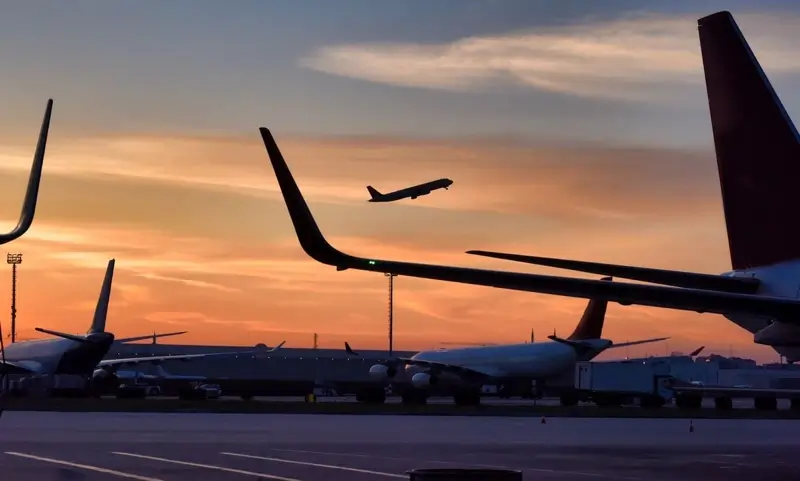 January 2026 Air Travel Growth: Passenger Demand +3.8% and Cargo +5.6%, What It Means for Transfers